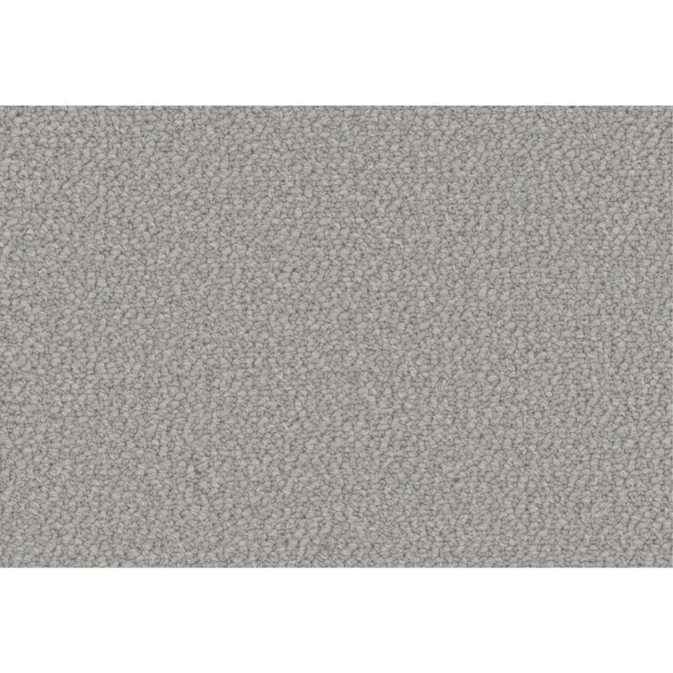 Loop Snazzy Gray Carpet