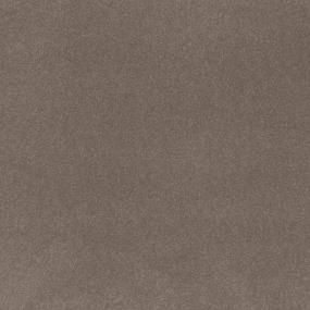Textured Saxony Uptown Taupe Beige/Tan Carpet