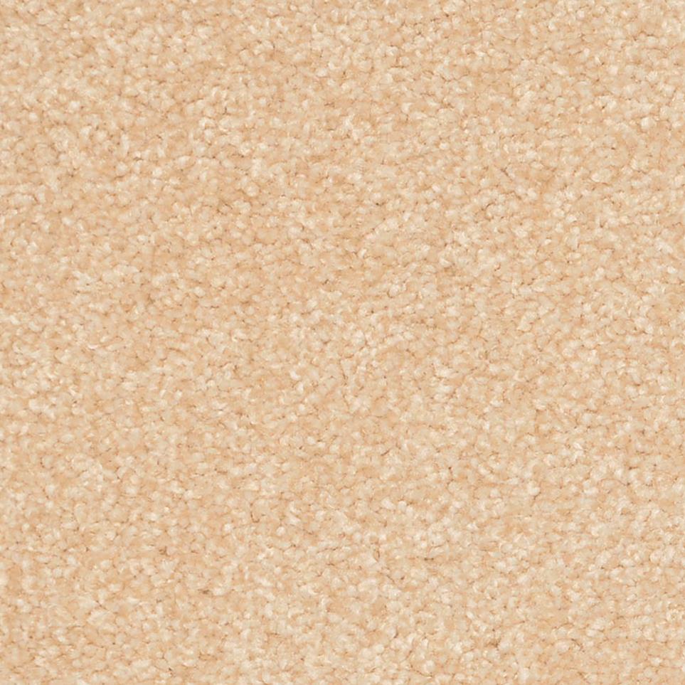 Frieze Sanderling Beige/Tan Carpet