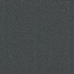 Casual Texture Seaside Gray Carpet