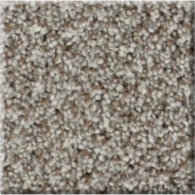 Texture Sugar Glaze Gray Carpet