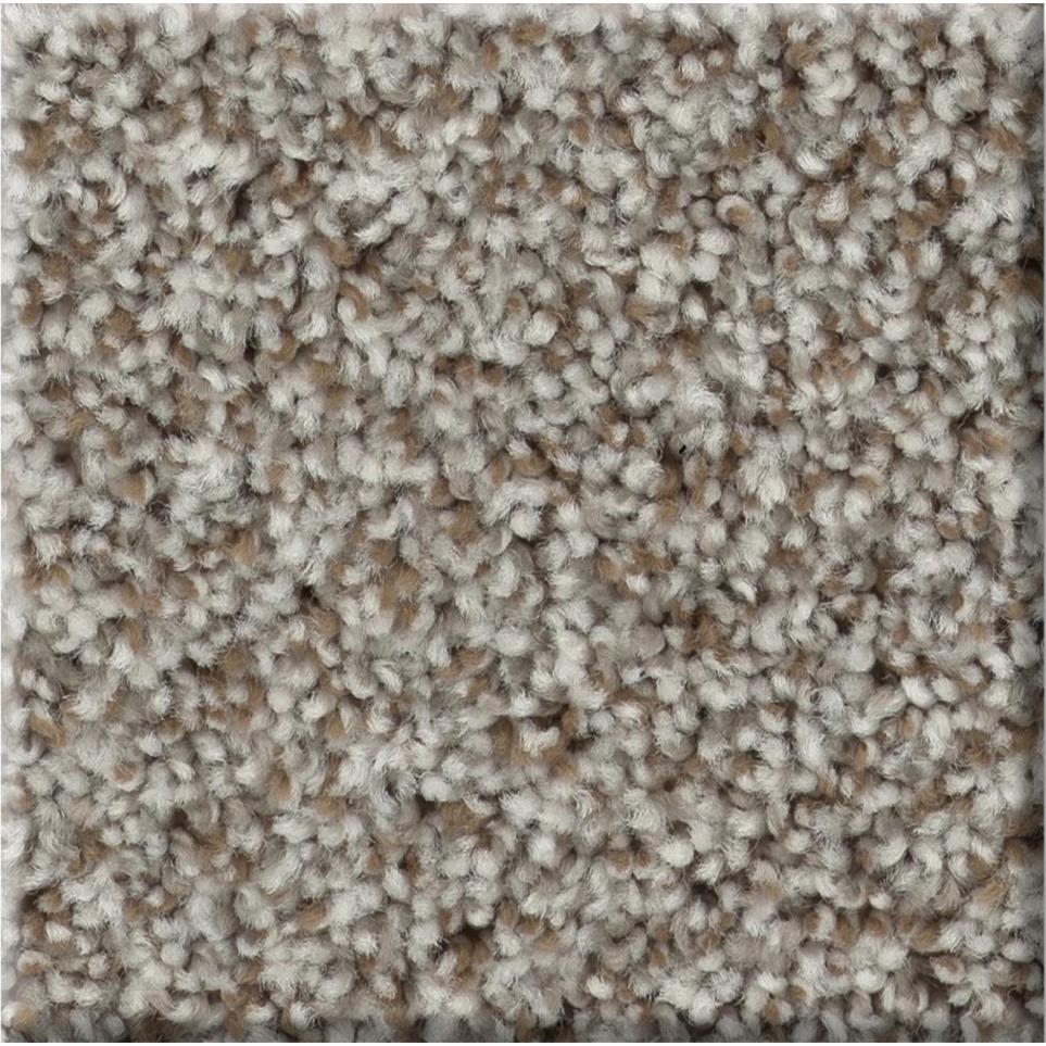 Texture Sugar Glaze Gray Carpet