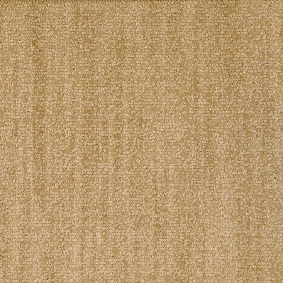 Pattern Harmony Beige/Tan Carpet