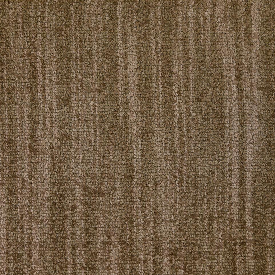 Pattern Allude Brown Carpet