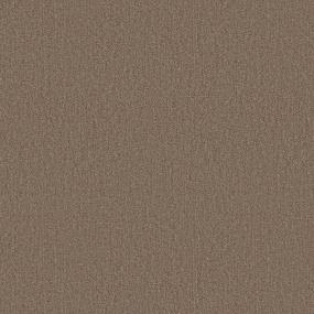 Loop Bursting Brown Carpet