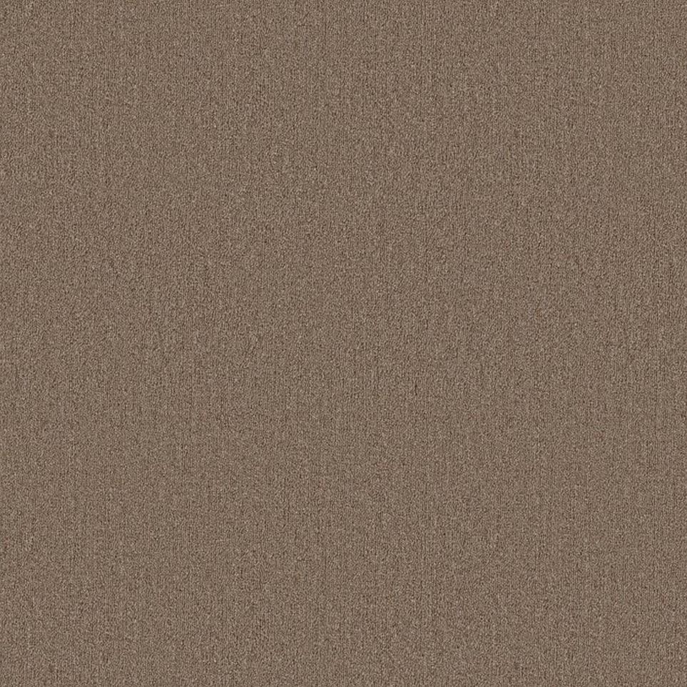 Loop Bursting Brown Carpet