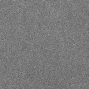 Cut Pile Personal Touch Gray Carpet