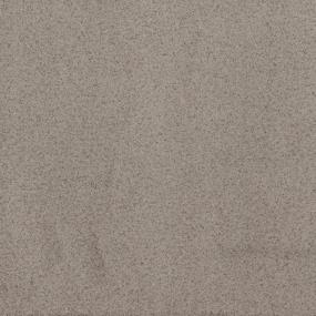 Textured Saxony Bashful Taupe Beige/Tan Carpet