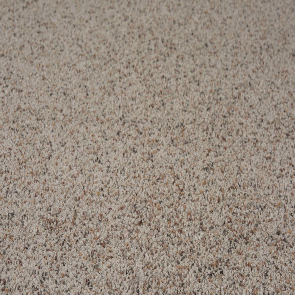 Textured Saxony Bashful Taupe Beige/Tan Carpet