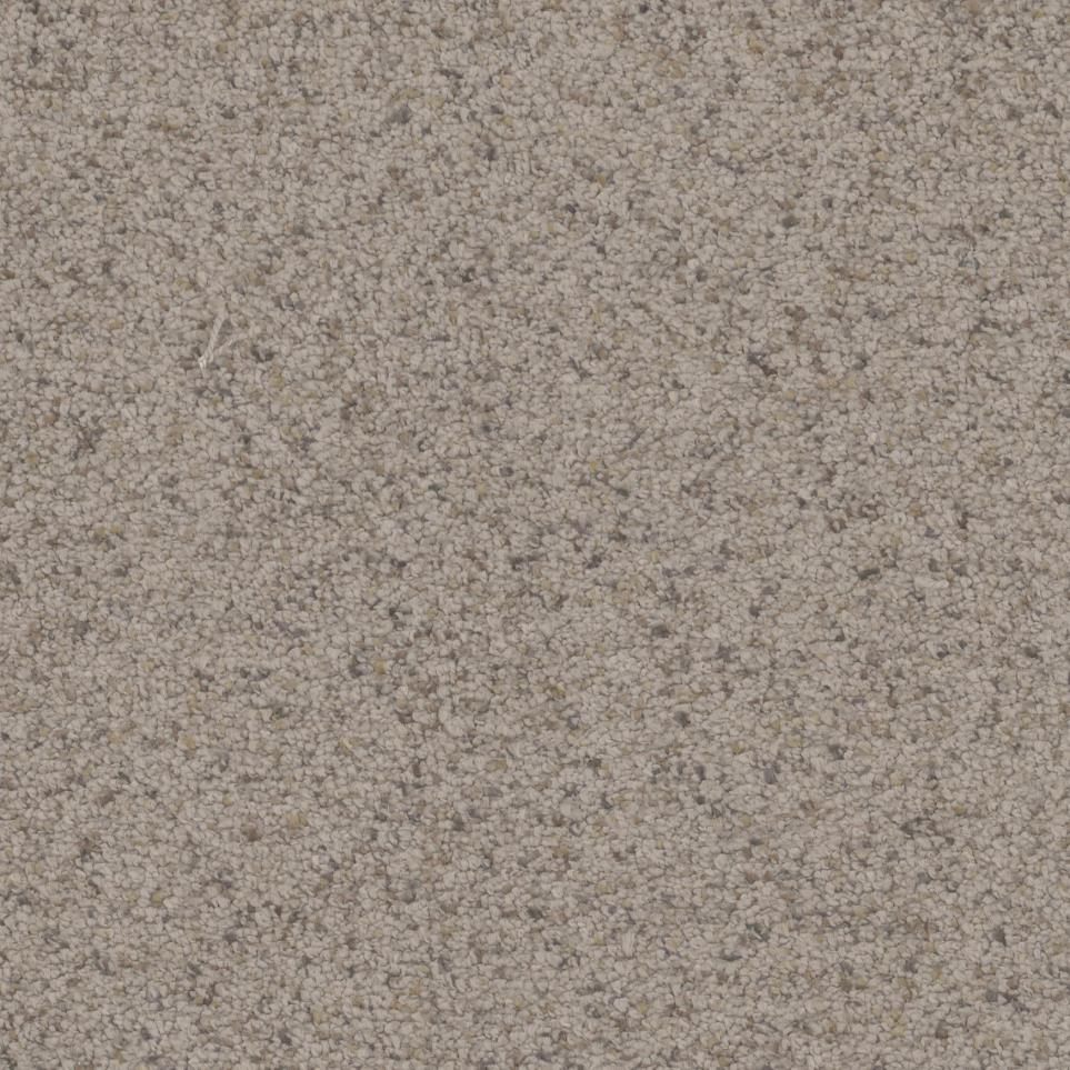 Textured Saxony Bashful Taupe Beige/Tan Carpet