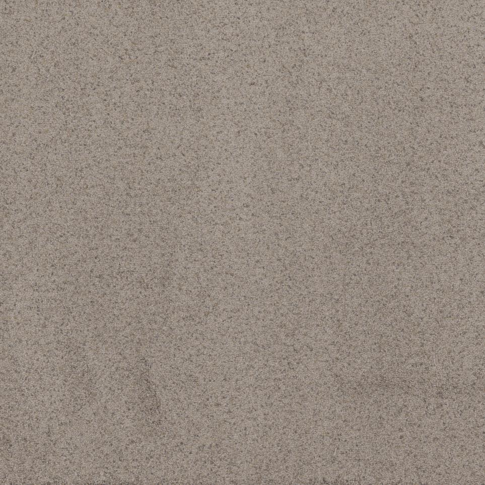 Texture Bashful Taupe Beige/Tan Carpet