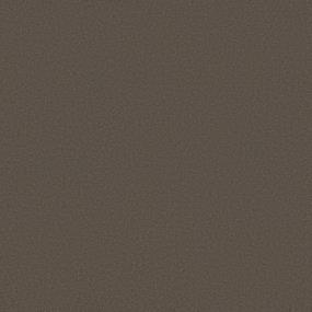 Textured Saxony Wheat  Beige/Tan Carpet