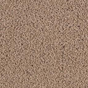 Cut Pile Sandalwood Brown Carpet