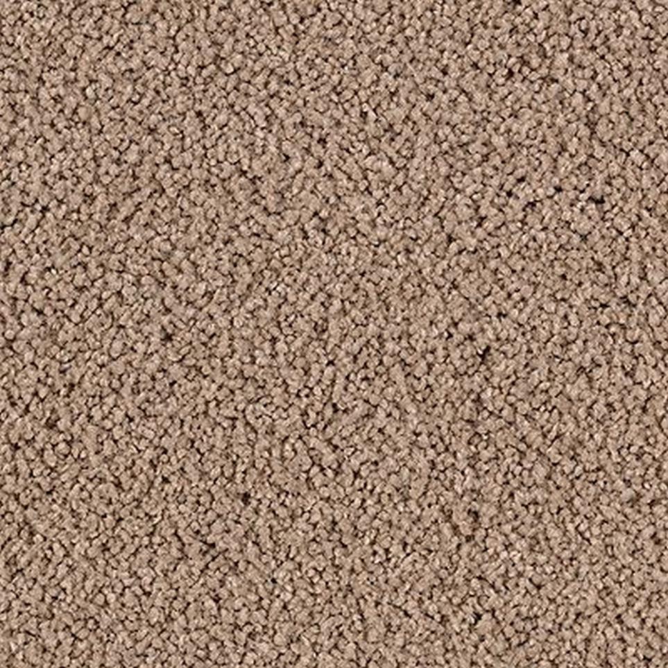 Cut Pile Sandalwood Brown Carpet