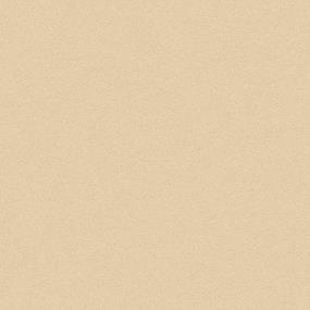 Textured Saxony Golden Beige/Tan Carpet