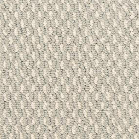 Loop Sheen Beige/Tan Carpet
