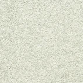 Casual Texture Sunroom Green Carpet