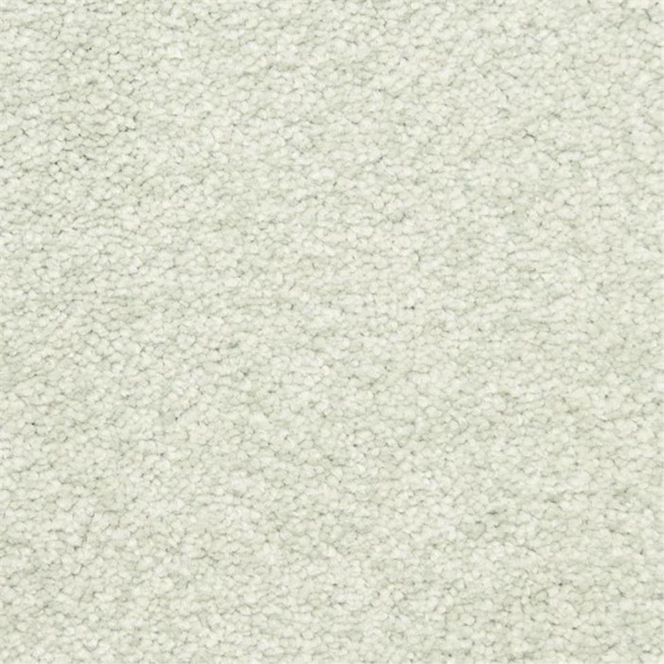 Casual Texture Sunroom Green Carpet