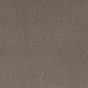 Textured Saxony Westpoint Beige/Tan Carpet