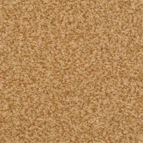 Casual Texture Earth Beige/Tan Carpet