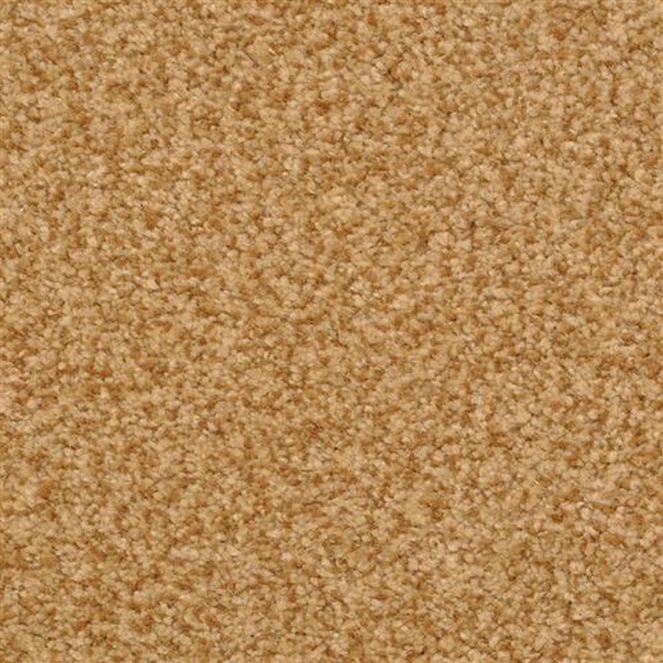 Casual Texture Earth Beige/Tan Carpet