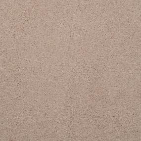 Casual Texture Chino Beige/Tan Carpet