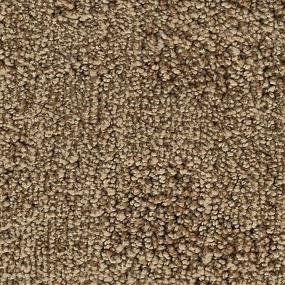 Textured Saxony Sienna Brown Carpet