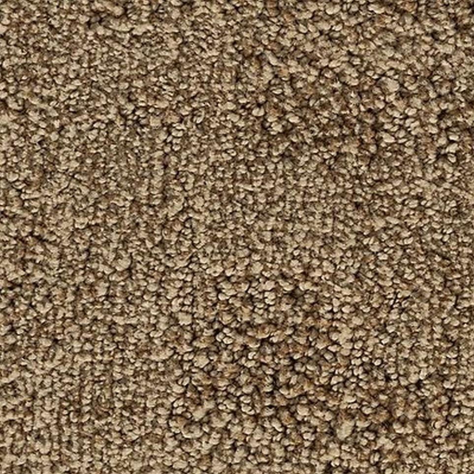 Textured Saxony Sienna Brown Carpet