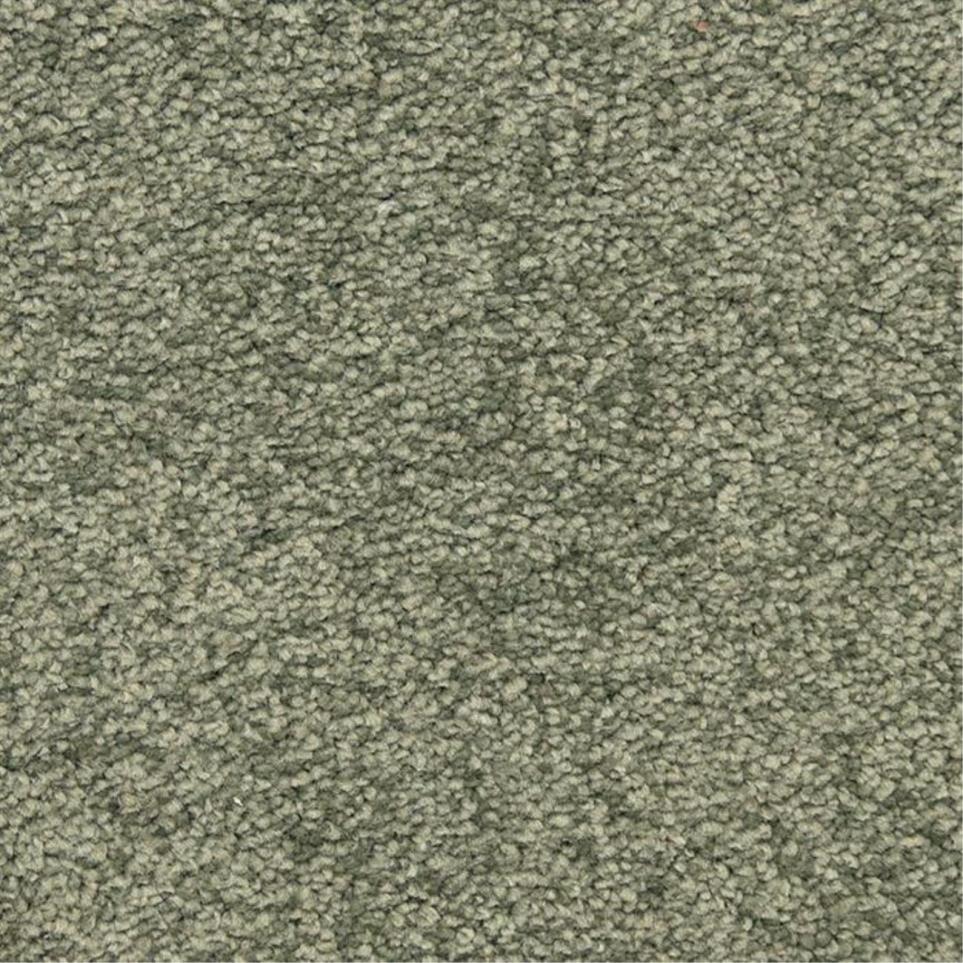 Casual Texture Muir Woods Green Carpet