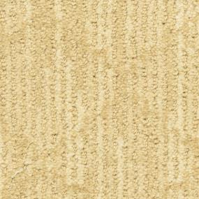 Pattern Diverse Beige/Tan Carpet