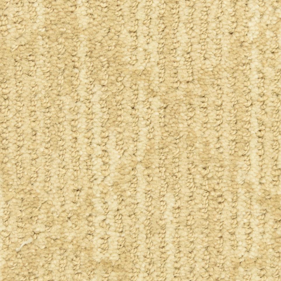 Pattern Diverse Beige/Tan Carpet
