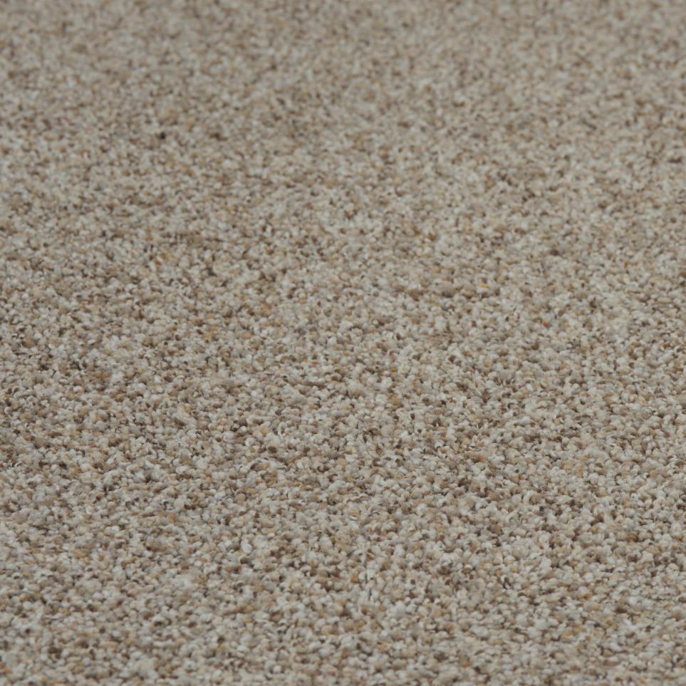 Texture Chateau Beige/Tan Carpet