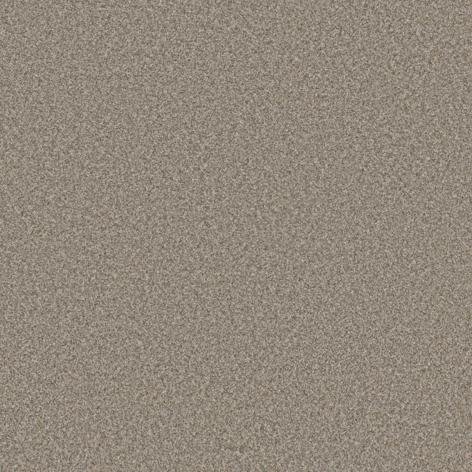 Texture Chateau Beige/Tan Carpet