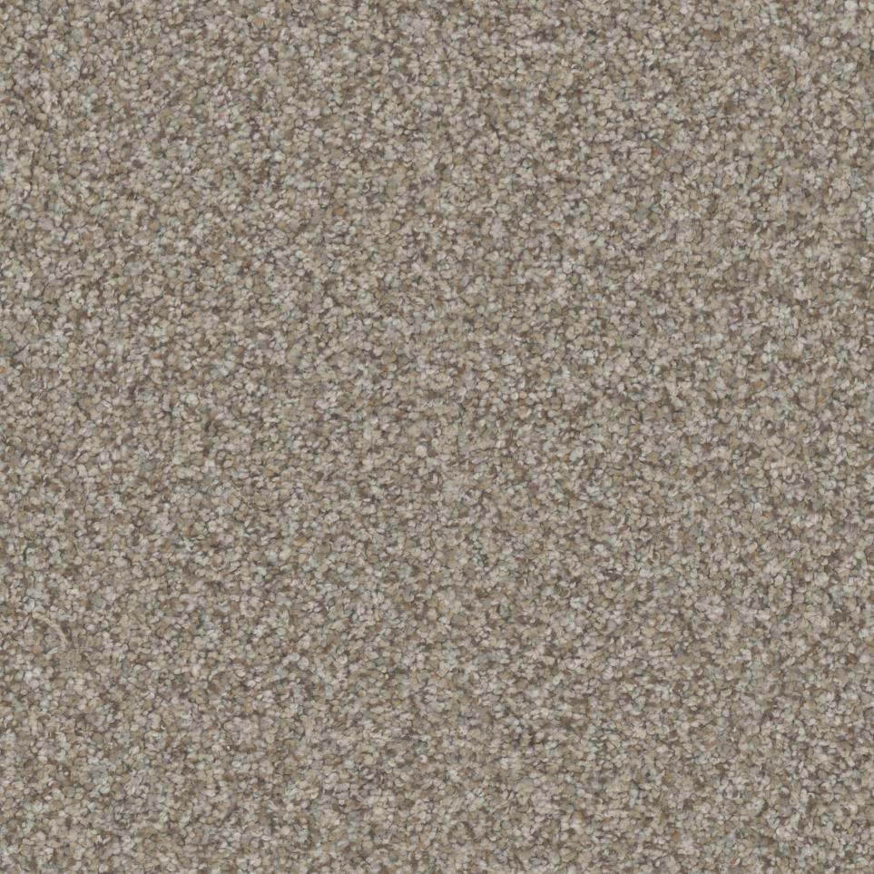 Texture Chateau Beige/Tan Carpet