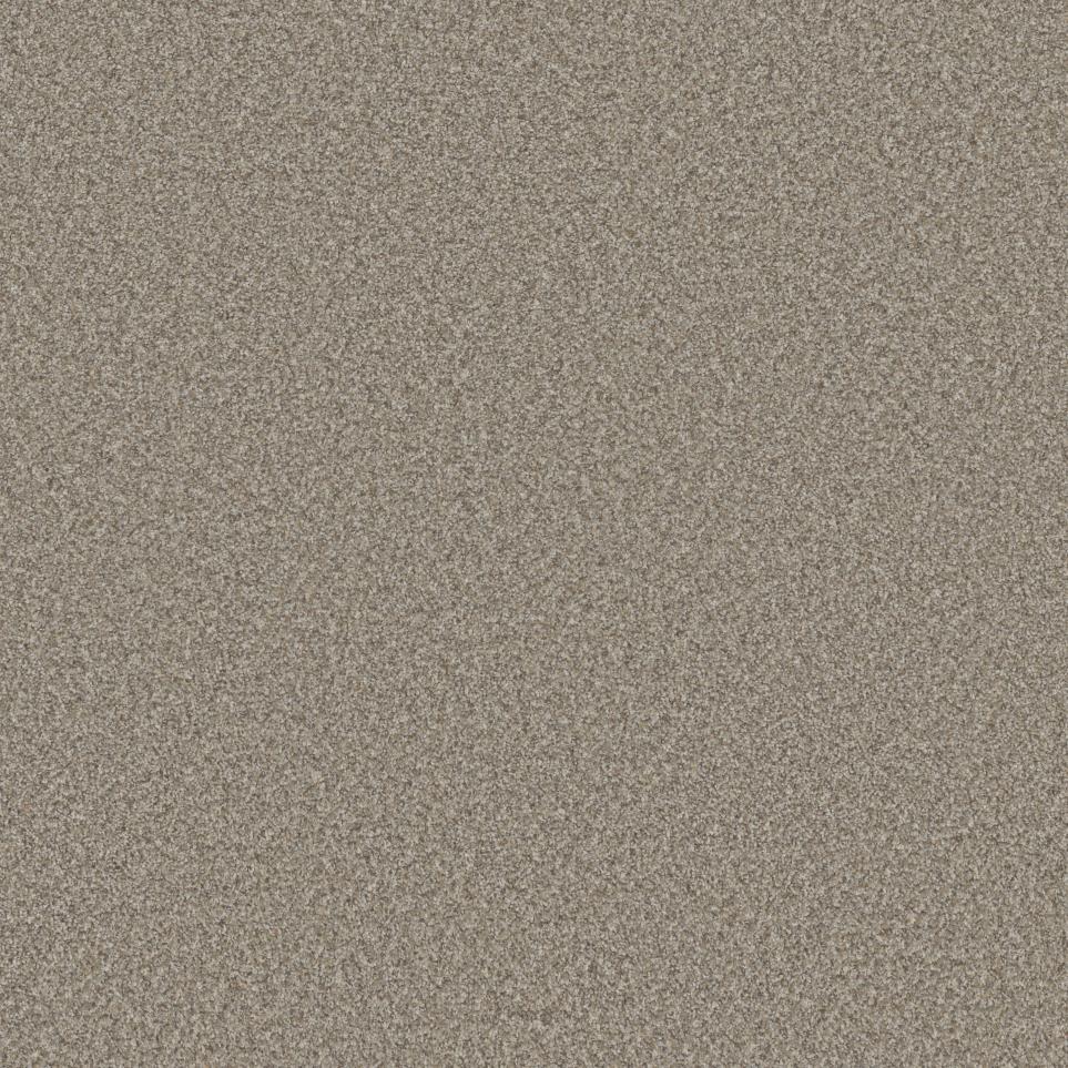 Texture Chateau Beige/Tan Carpet