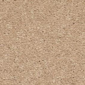 Textured Saxony Remember Beige/Tan Carpet