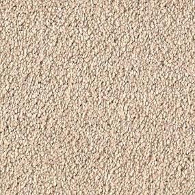 Textured Saxony Organic Beige/Tan Carpet