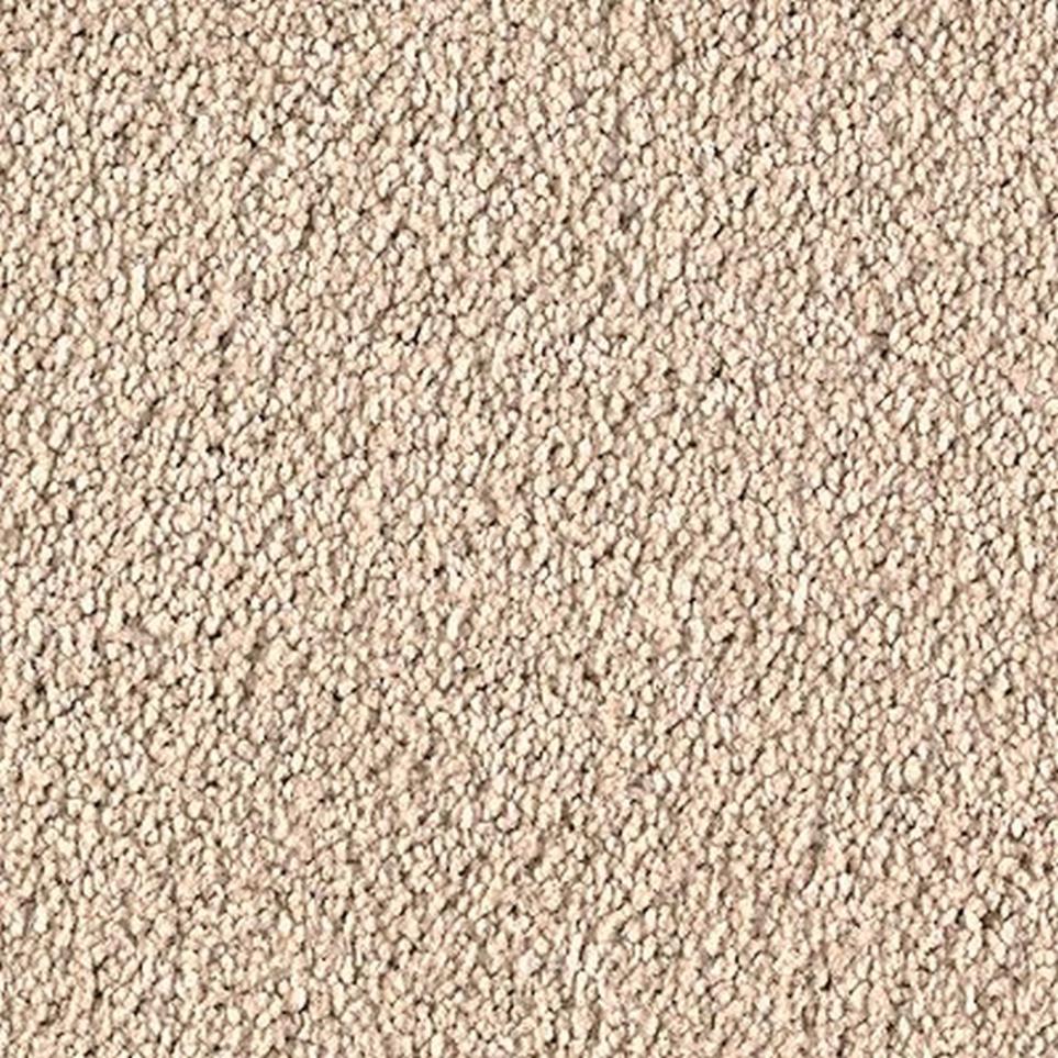 Textured Saxony Organic Beige/Tan Carpet