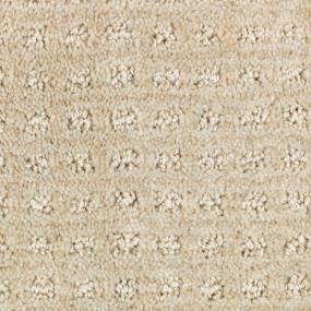 Pattern Canvas Cloth Beige/Tan Carpet