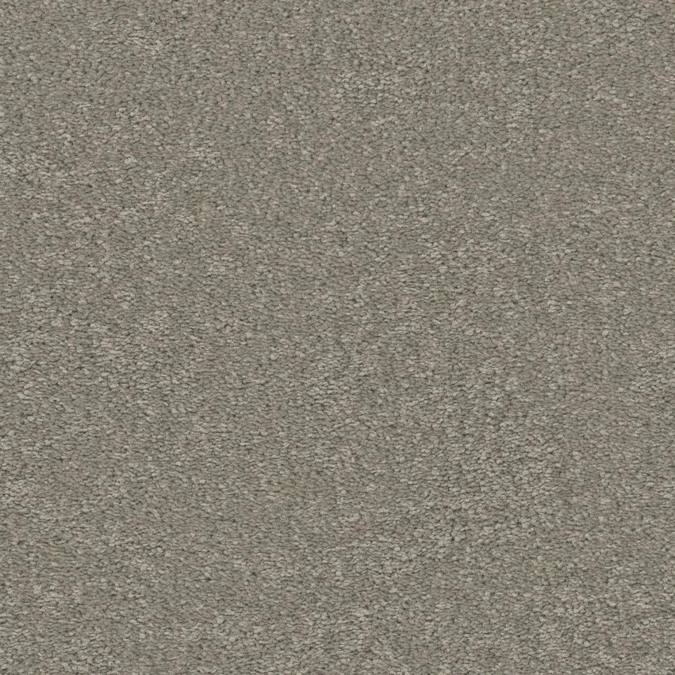 Plush Saxony Minimal Beige/Tan Carpet