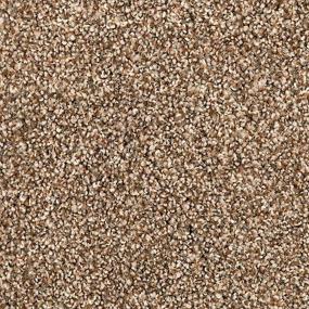 Textured Saxony Sandy Clay Brown Carpet