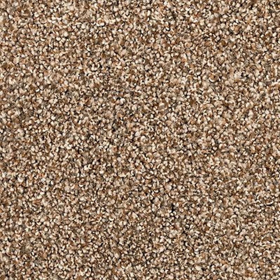 Textured Saxony Sandy Clay Brown Carpet