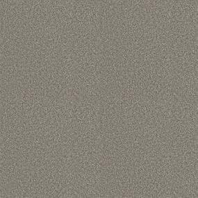Textured Saxony Advisor Brown Carpet