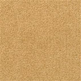 Texture Tiki Torch Beige/Tan Carpet