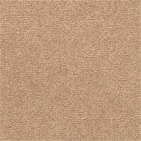 Texture Sun Deck Brown Carpet