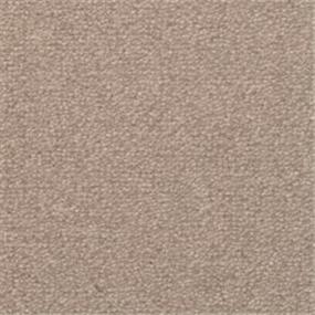 Texture Pier Brown Carpet