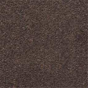 Texture Mangrove Brown Carpet