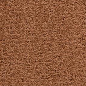 Pattern Fiesta Brown Carpet