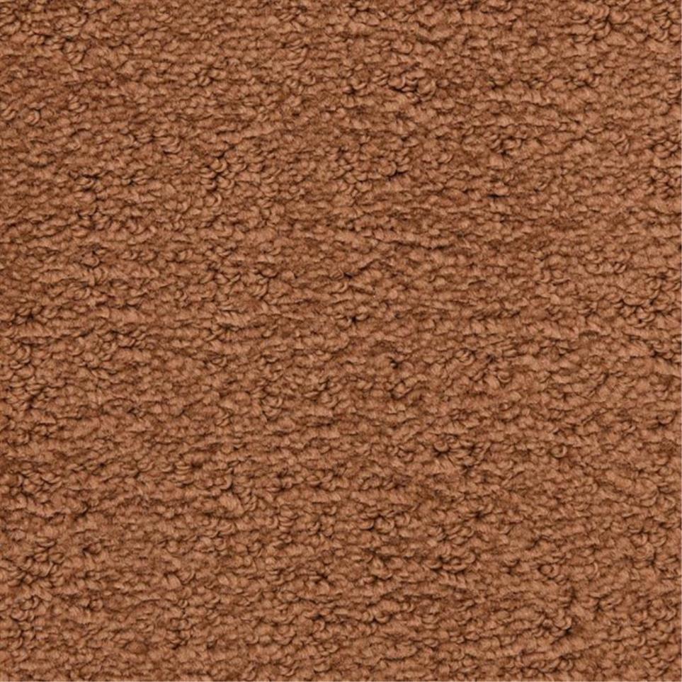 Pattern Fiesta Brown Carpet