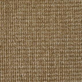 Pattern Smooth Brown Carpet